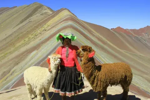 montaña de colores | llama