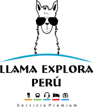 imagen para logo de pagina web