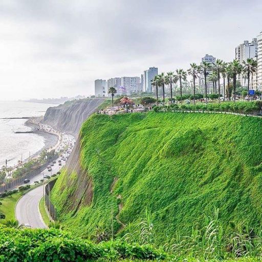 Lima (8)